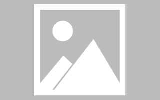 射洪栾城区网站制作推荐（栾城信息公开平台）